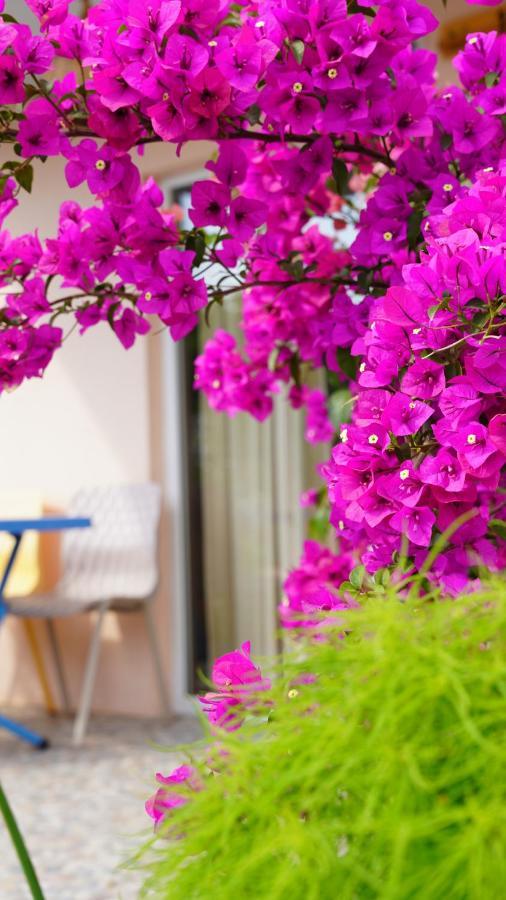 Yelken Bungalov Bed & Breakfast Milas Exterior photo